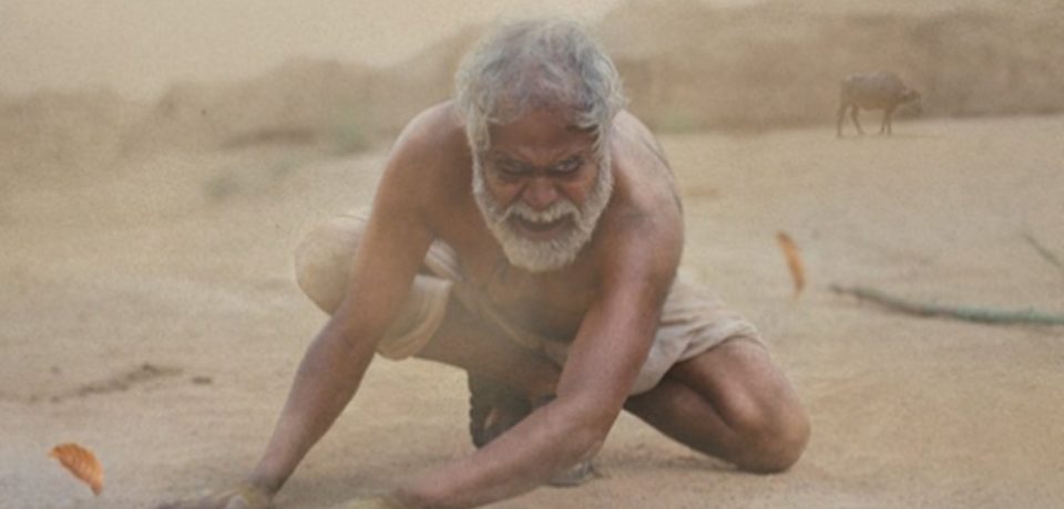 KADVI HAWA – Movie on the effects of climate change