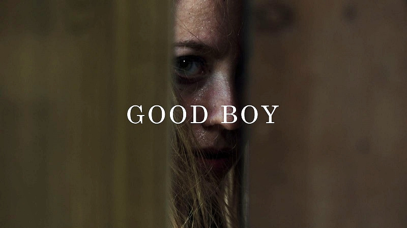 Norwegian Thriller 'Good Boy' (Watch the Trailer)